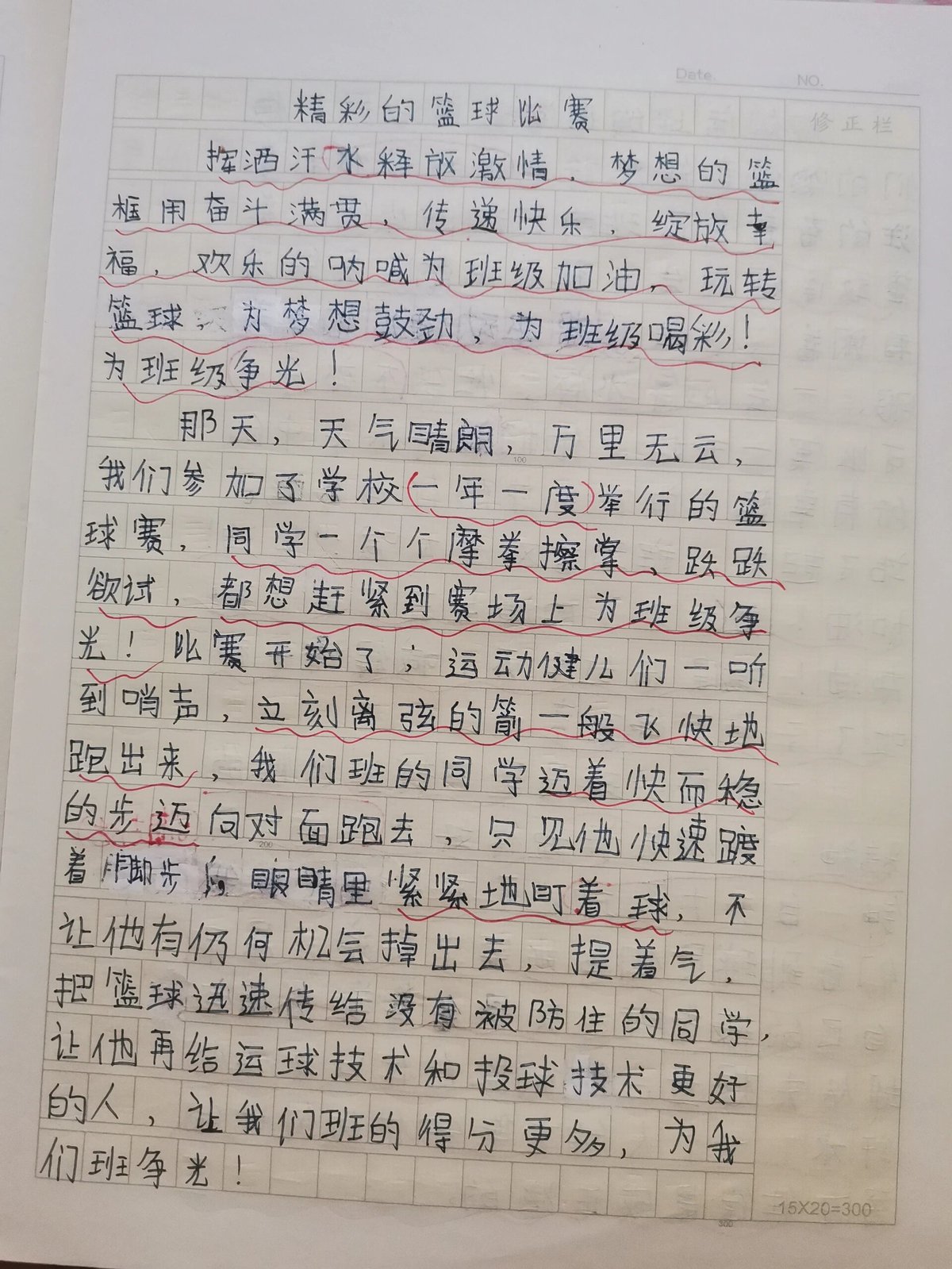 篮球训练的自我评价50字