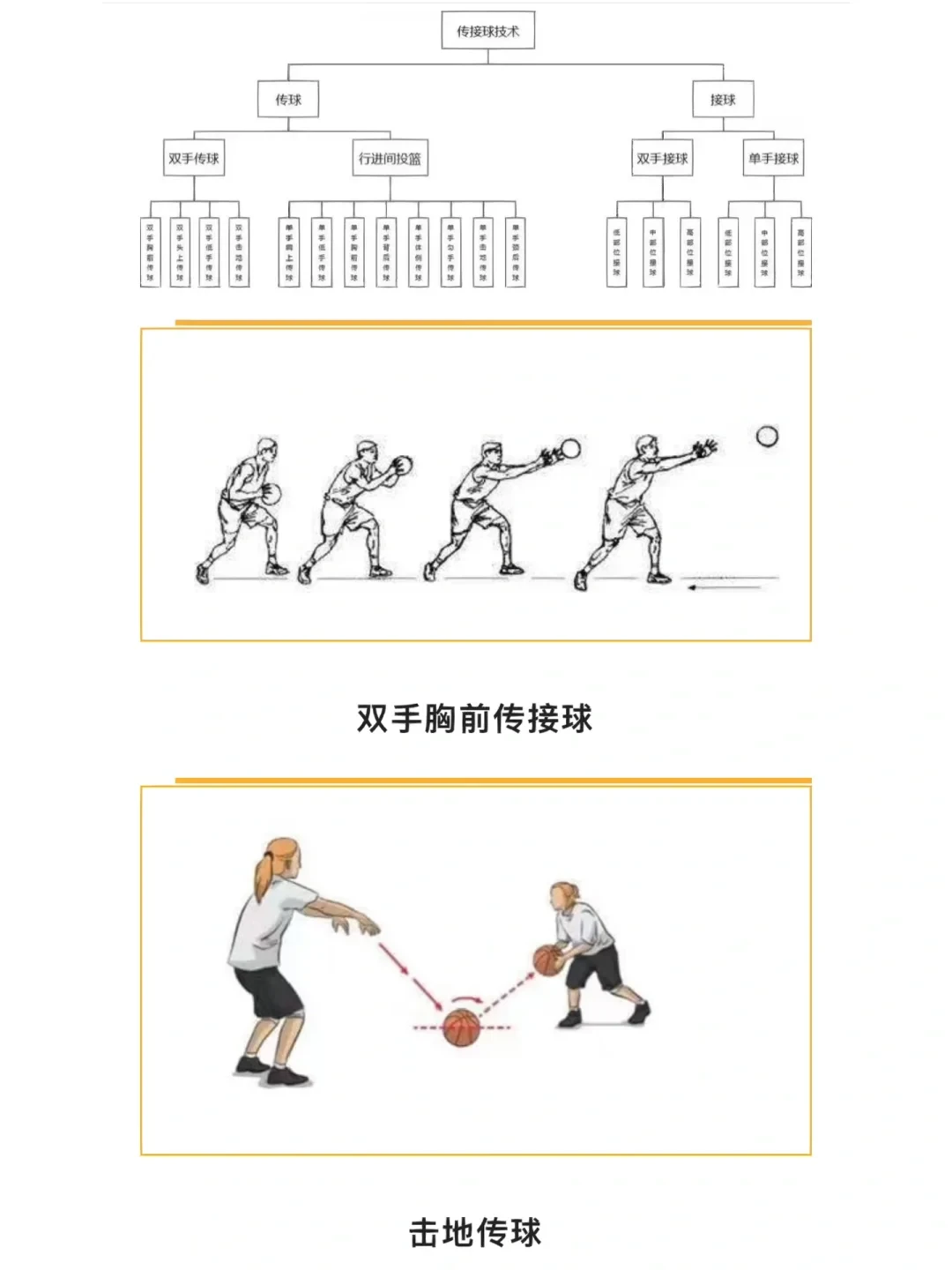 小学生篮球基础训练课程 传球