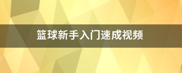 小学篮球初步训练视频讲解