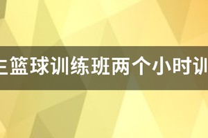 篮球每日训练安排小学生怎么写